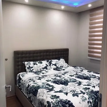 Nedeljkovic 10 * Zlatibor