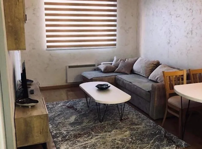 Apartment Nedeljkovic 10 *