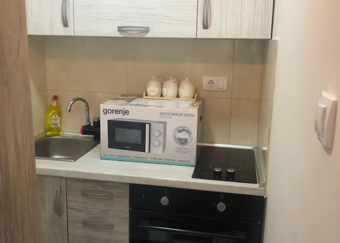 Nedeljkovic 10 アパート *